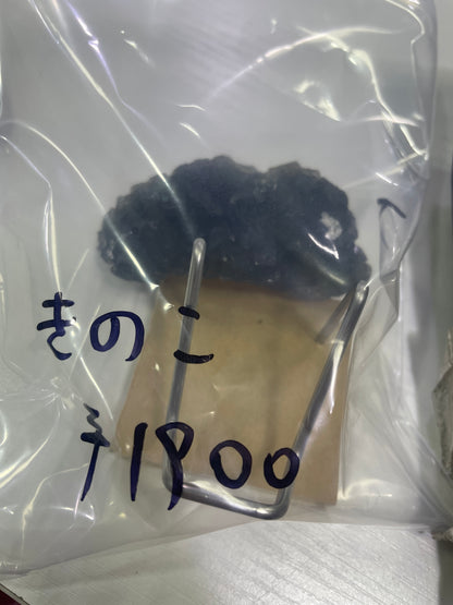 72-きのこ様paypay