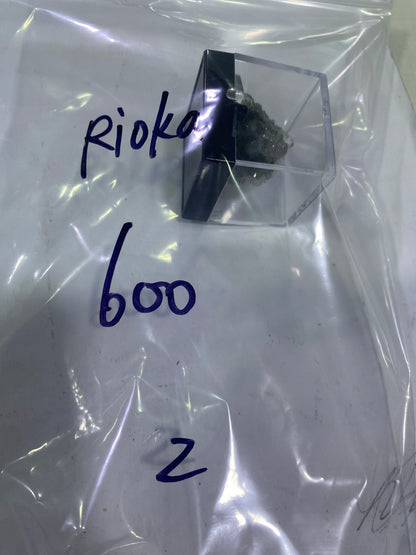 14-Rioka様