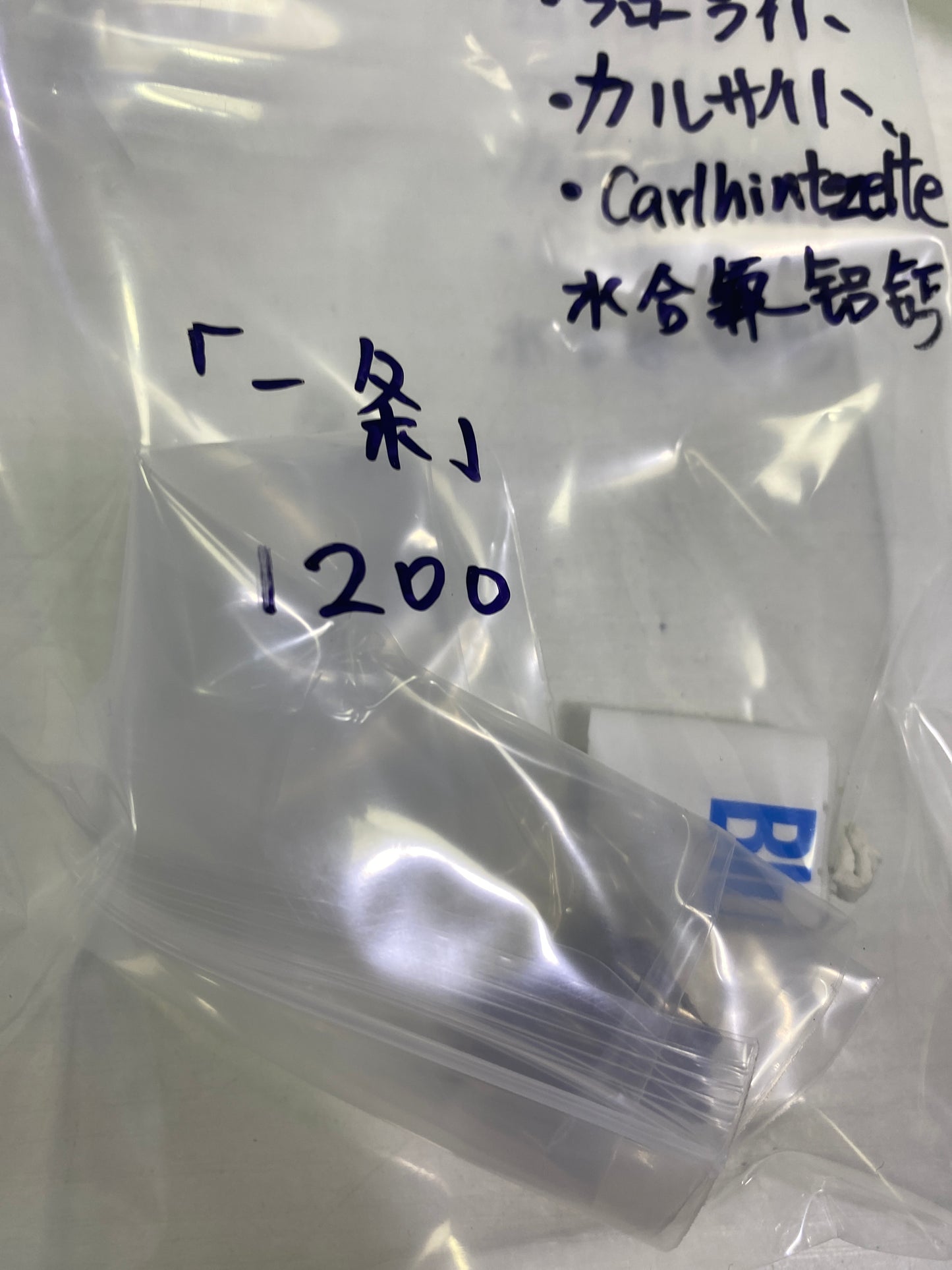 110-一条様