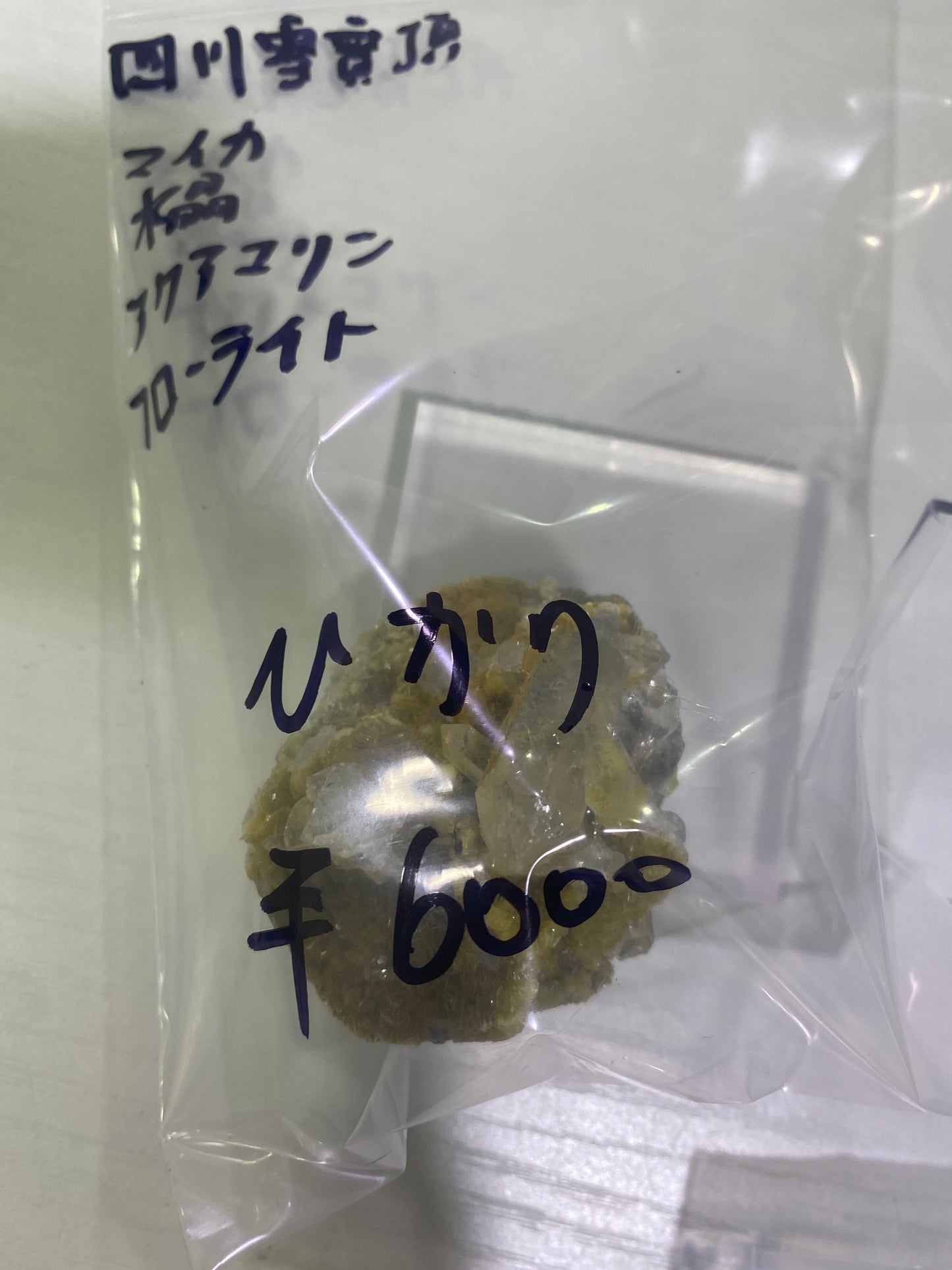 75-ひかり様