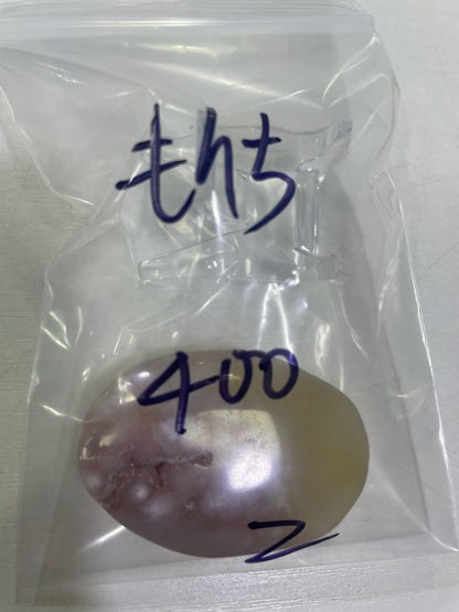71-もんち様