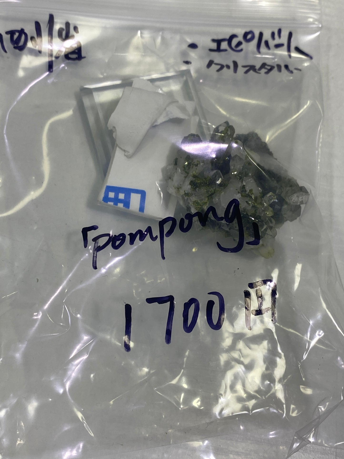 42-pompong様