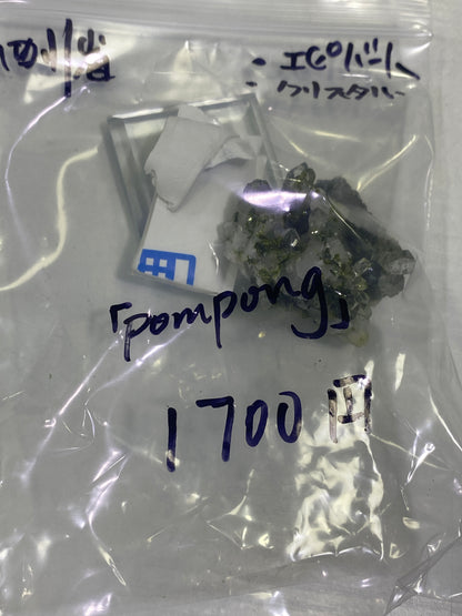 42-pompong様