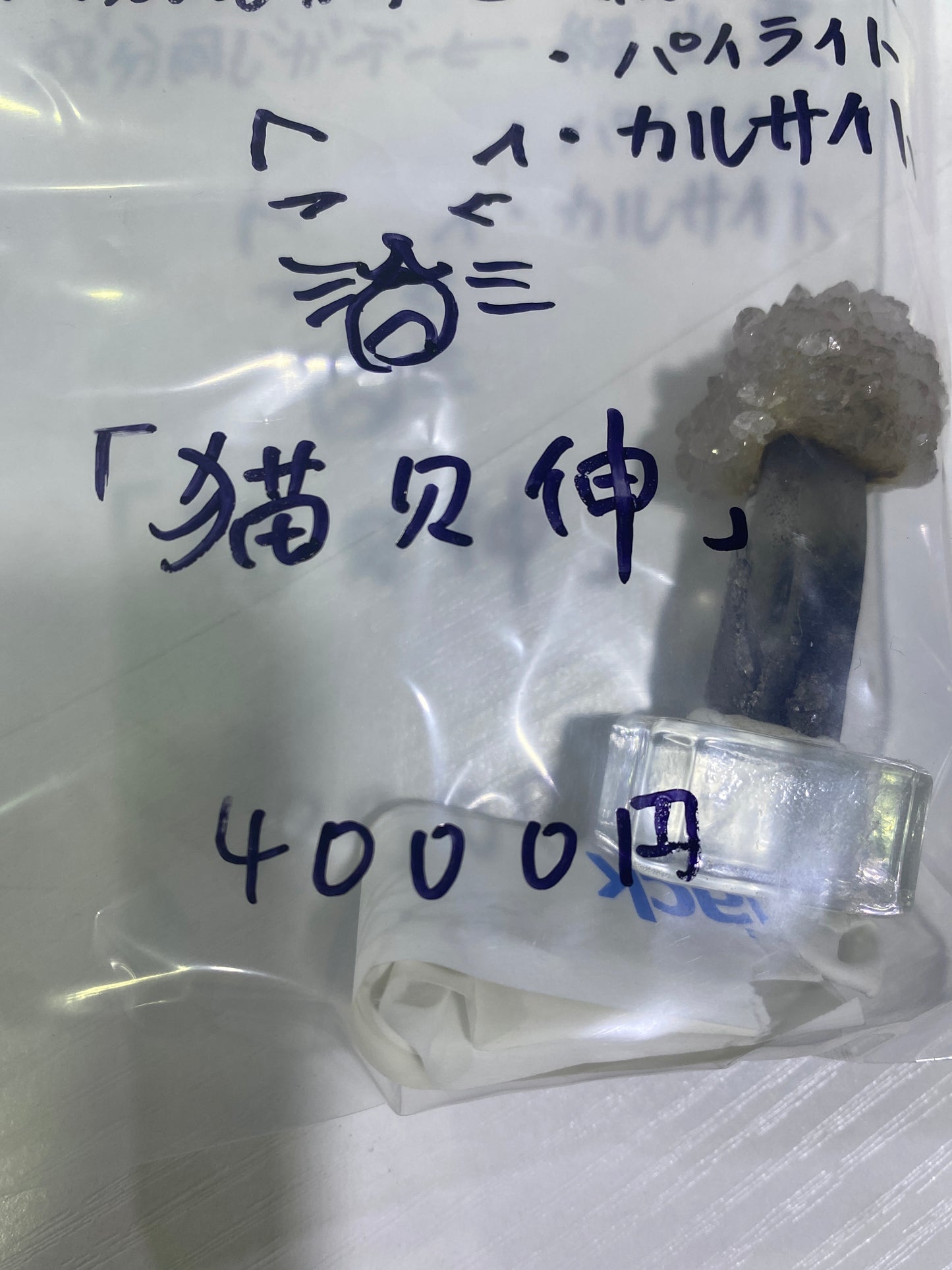 19-猫欠伸様