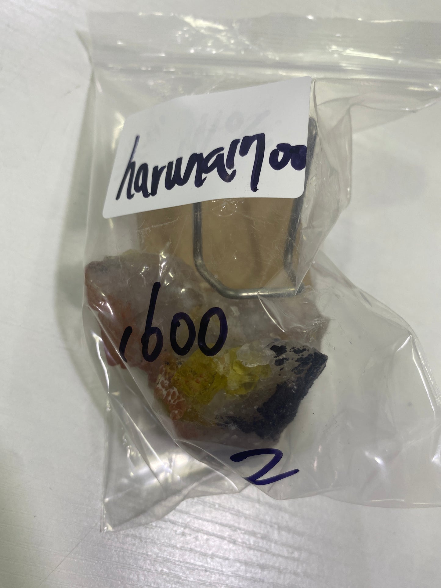 51-haruna1700様