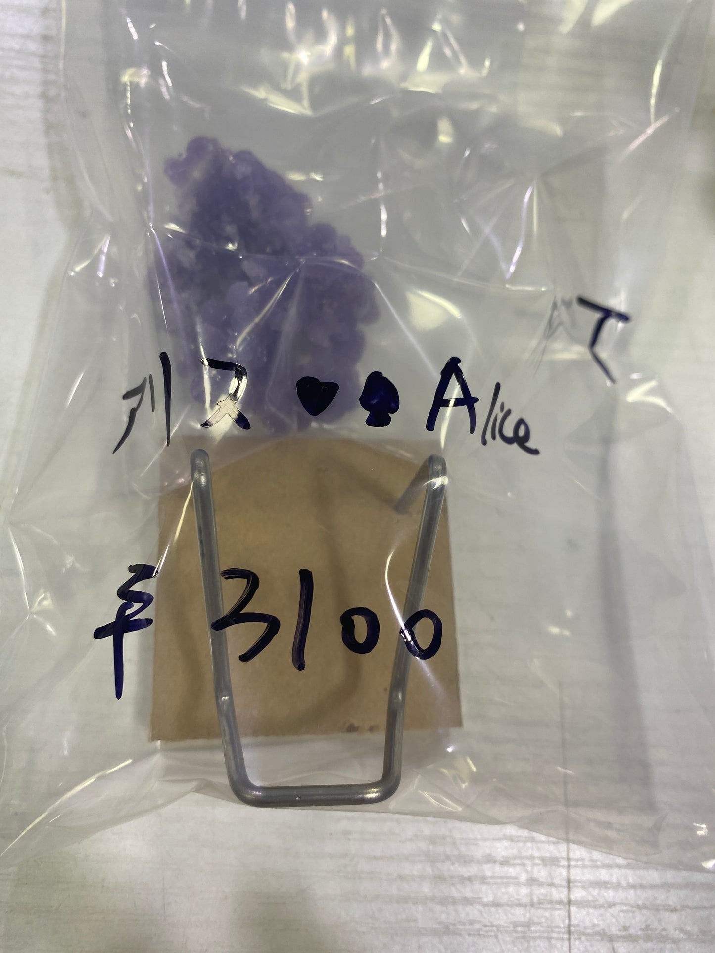 49-アリス様8月23日まで