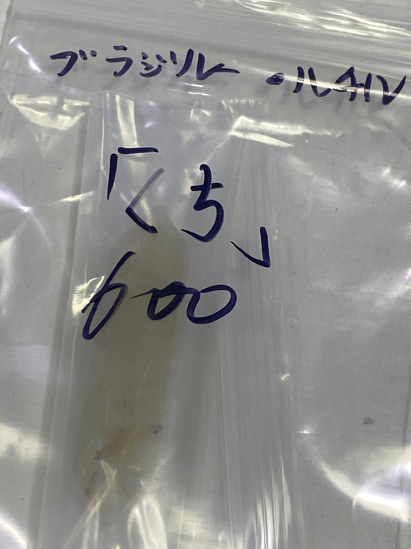 102ーくち様