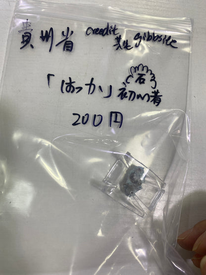 38-はっか様