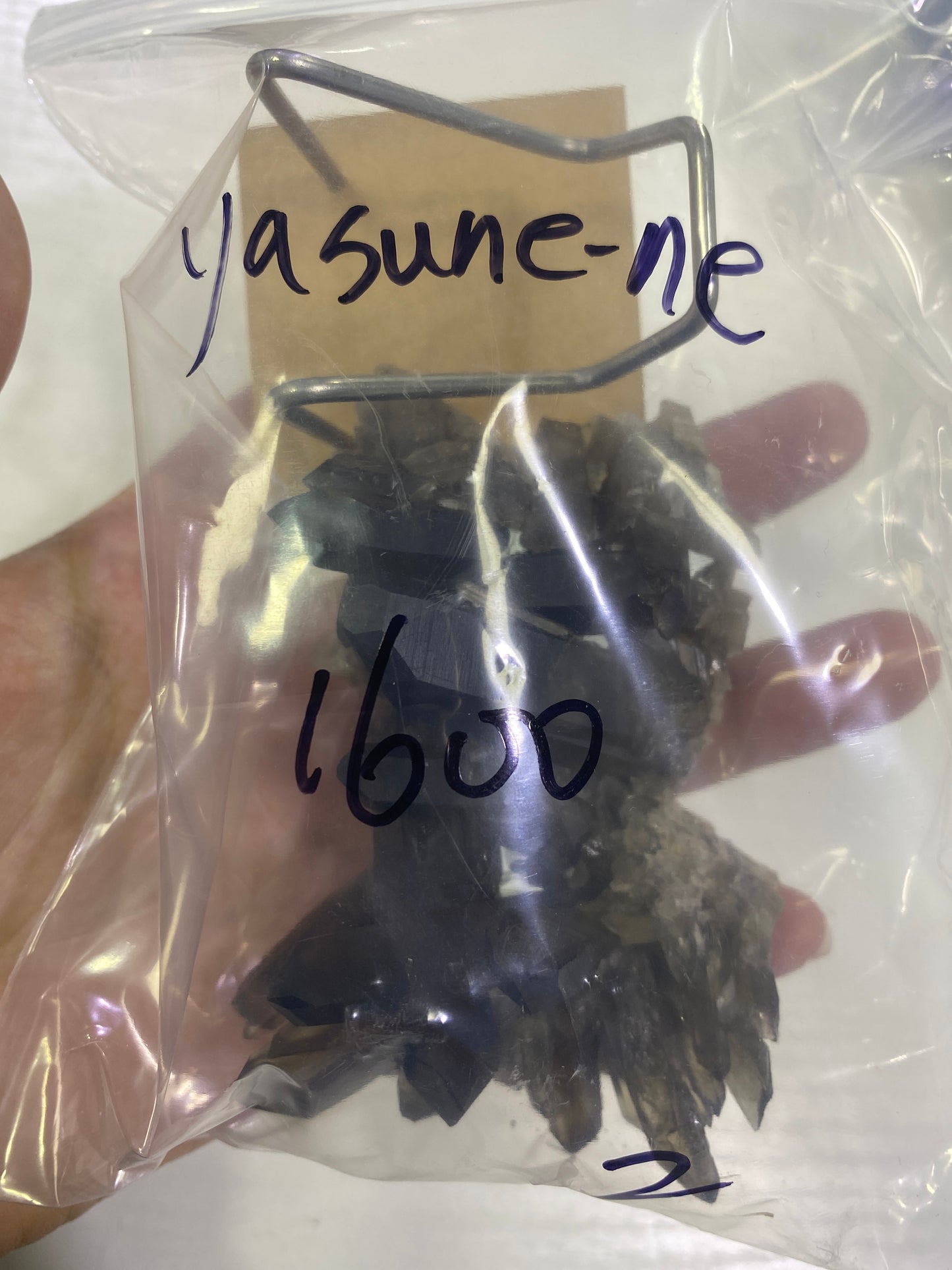 29-Yasune-ne様