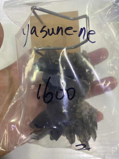 29-Yasune-ne様