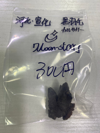 16-moon star様9月21日まで