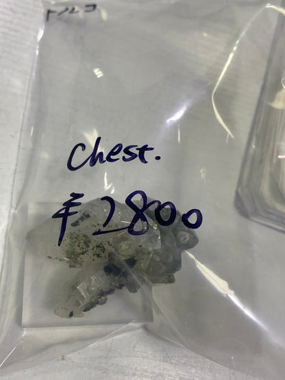 04-chest様9月29日まで