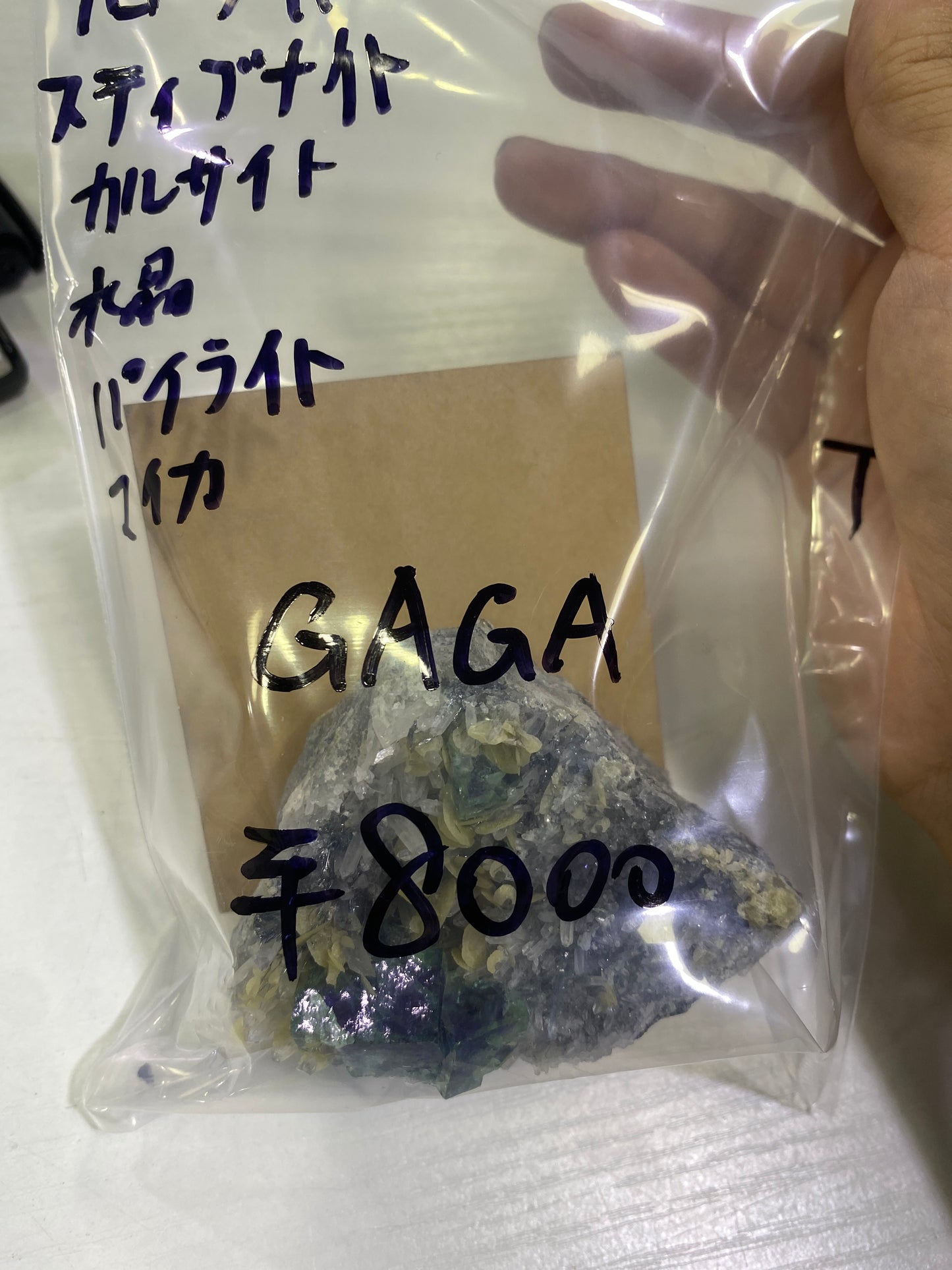 23-GAGA様