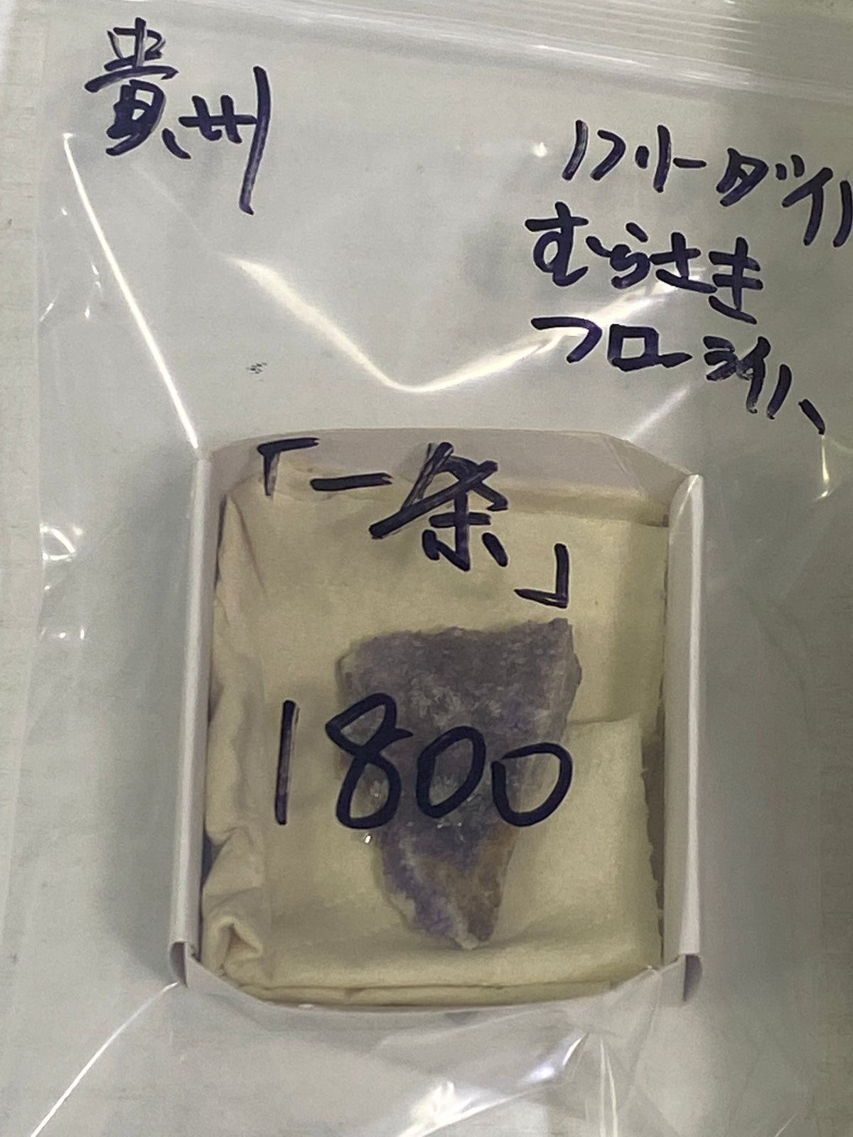 53-一条様9月22日まで