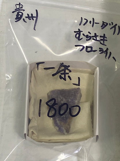 53-一条様9月22日まで