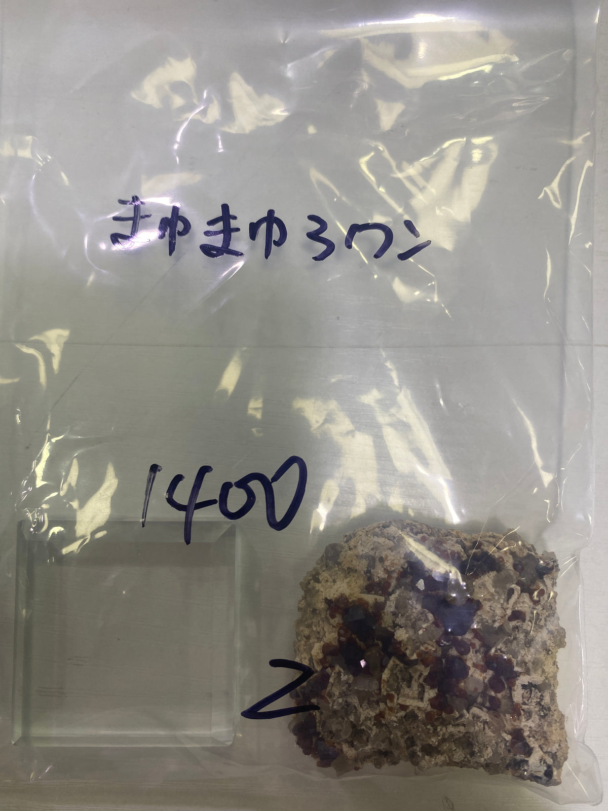 72-まゆまゆ3ワン様9月23日まで