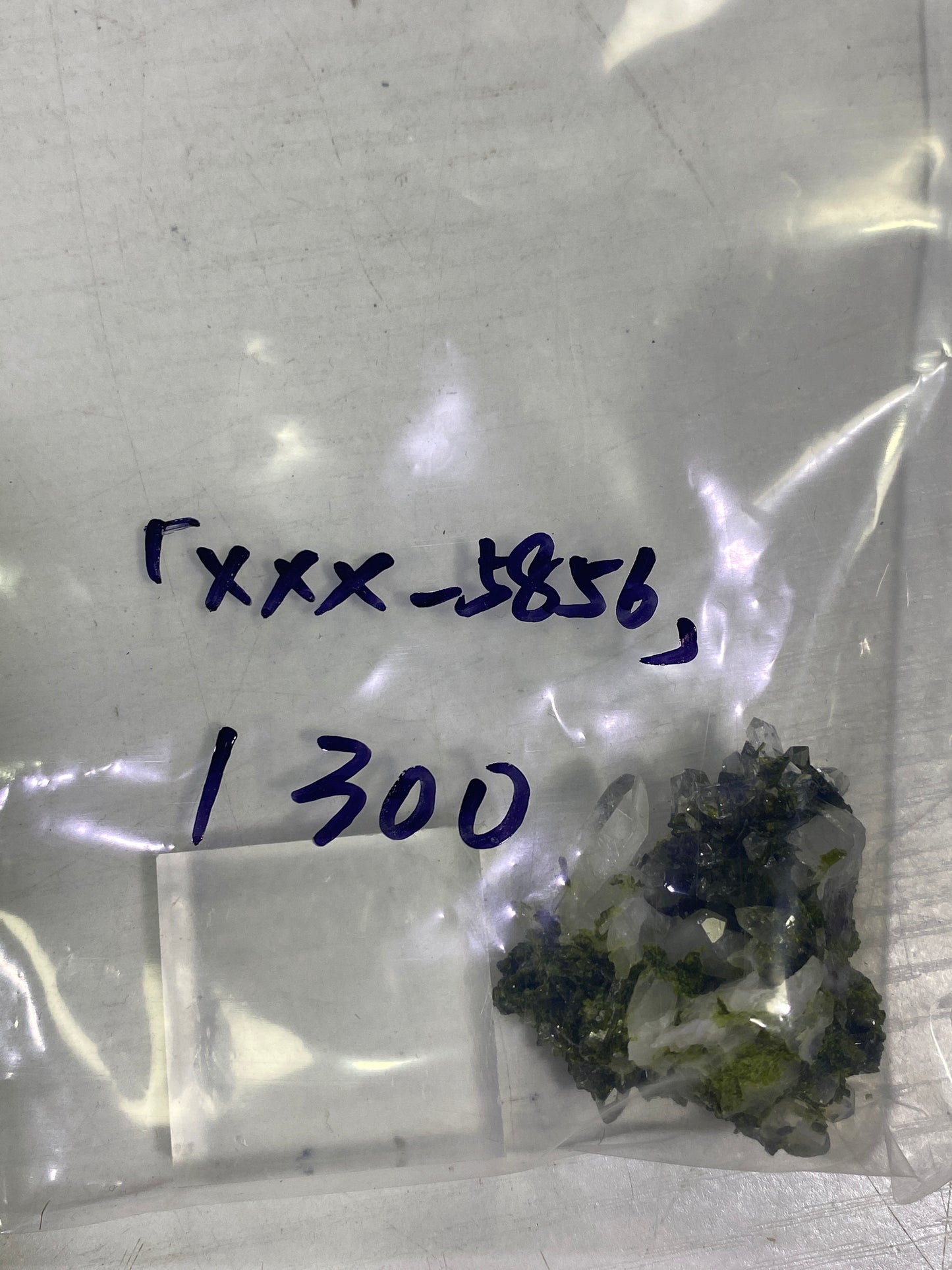 03-xxx-5856様