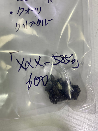 03-xxx-5856様