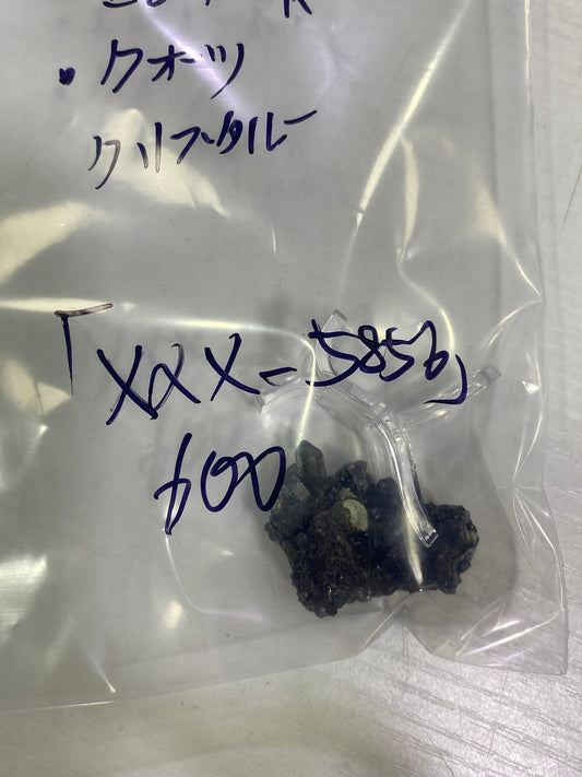 03-xxx-5856様