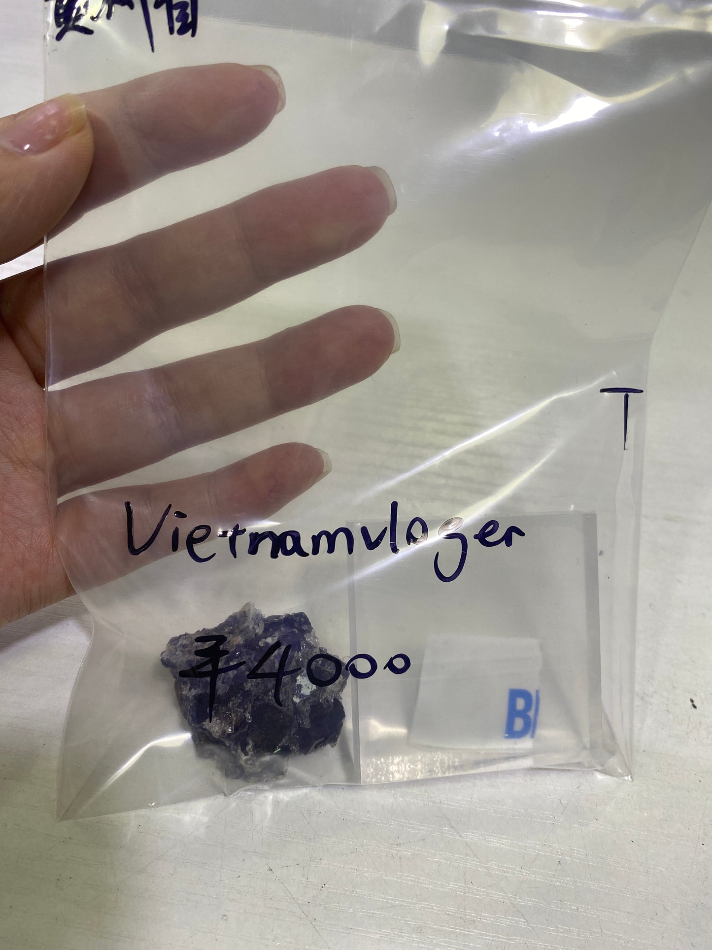 15-vietnamvloger様