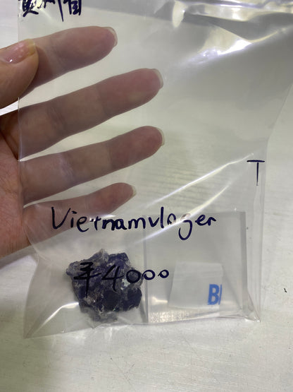 15-vietnamvloger様