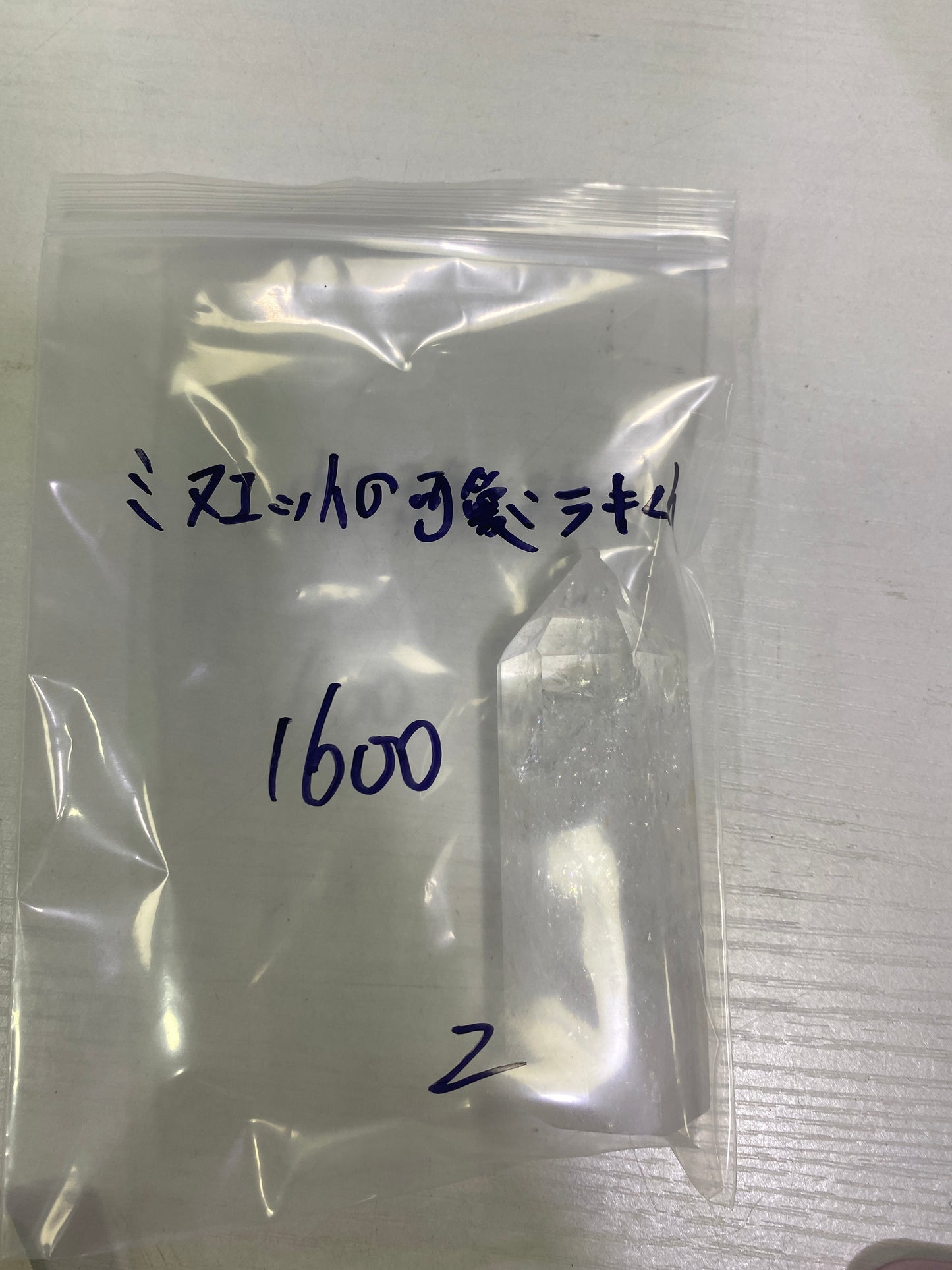 79-ミヌエットの可愛いラキくん様