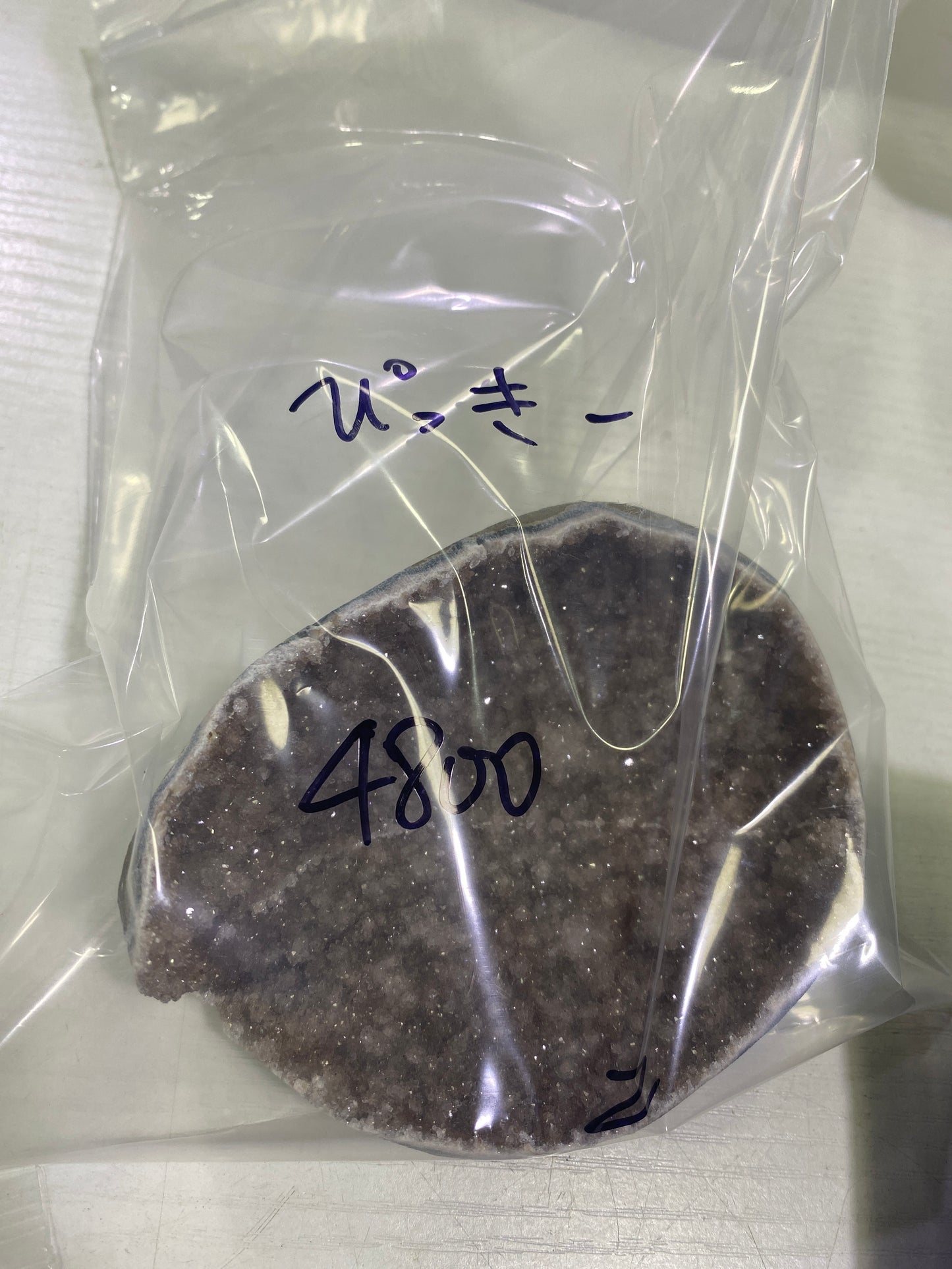 81-ぴっき様