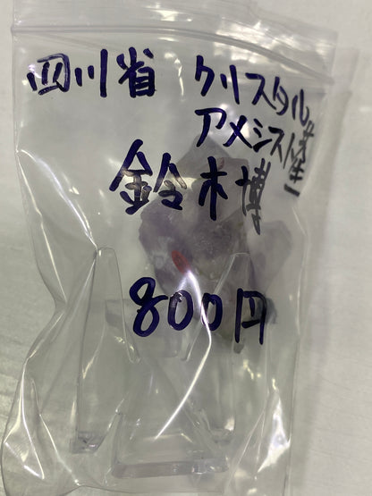 17-鈴木博様