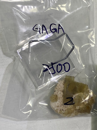 33-GAGA様8月23日まで