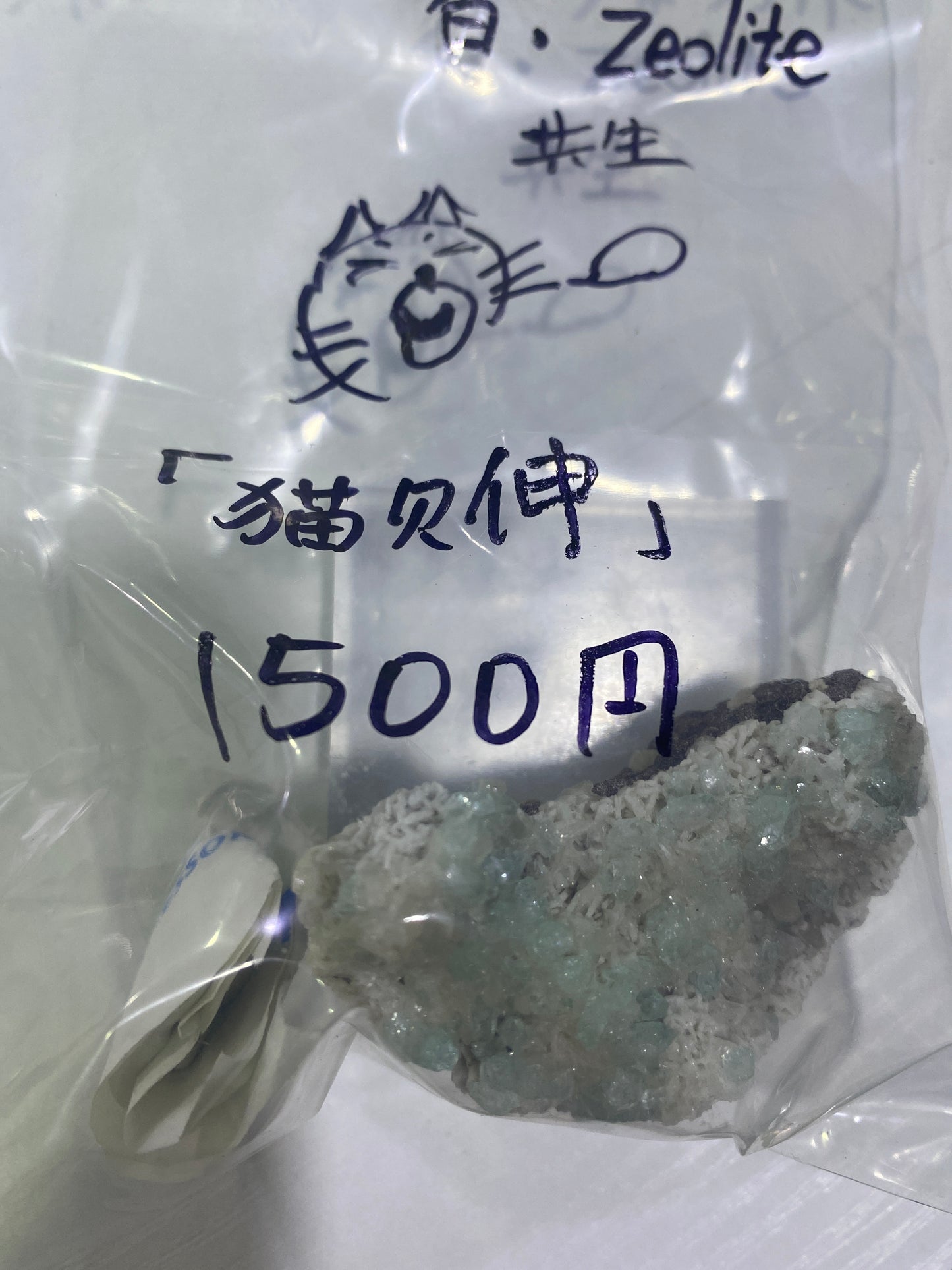 19-猫欠伸様