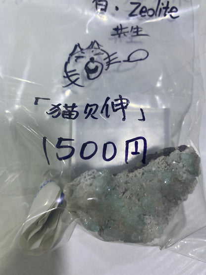 19-猫欠伸様