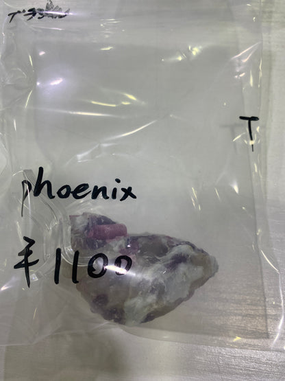 102-phoenix様