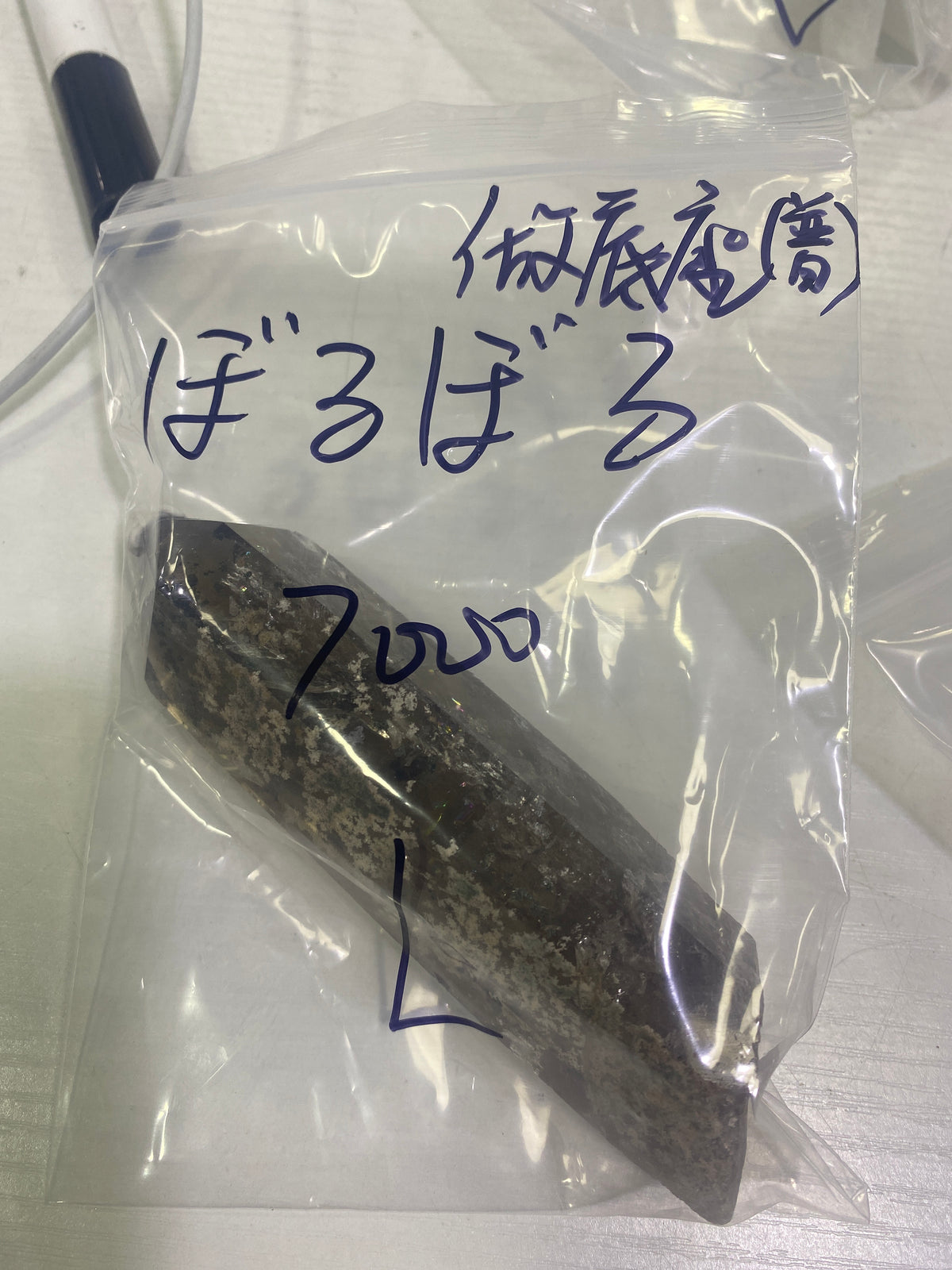 06-ぼるぼる様9月18日まで