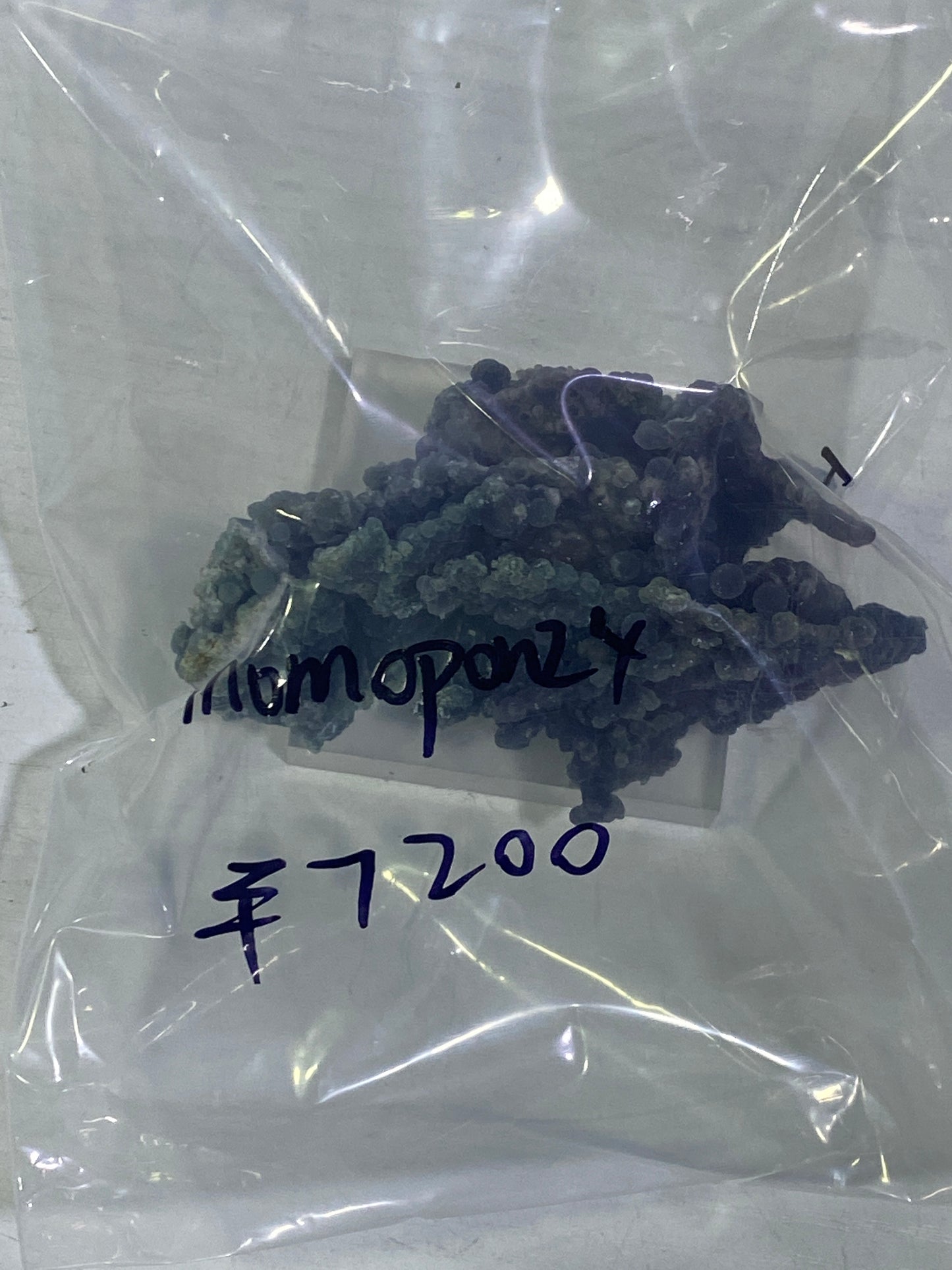 69-momopon様8月24日まで
