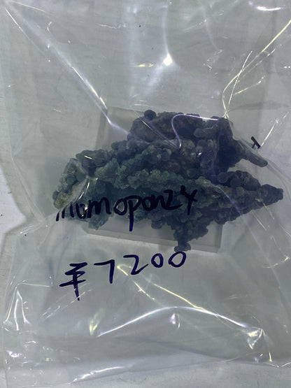 69-momopon様8月24日まで