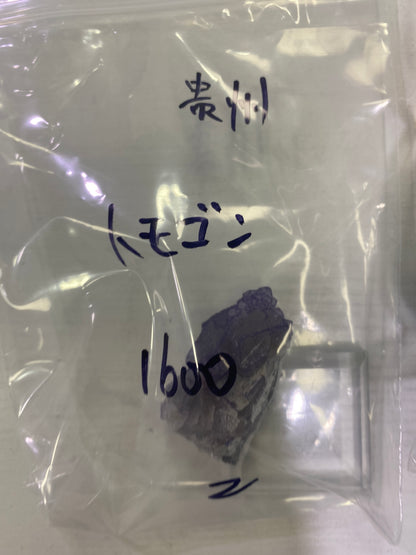71-トモゴン様8月12日まで