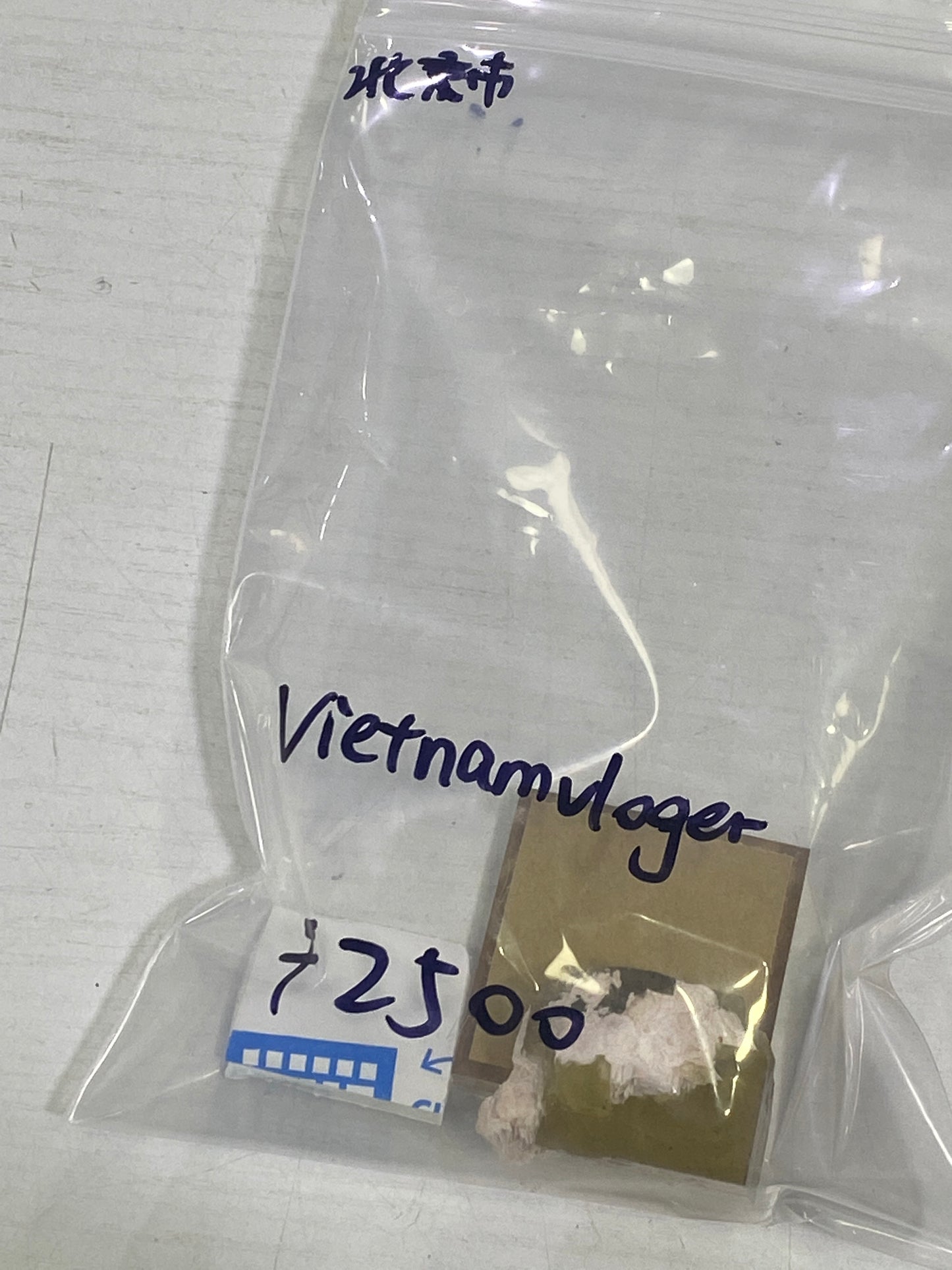 57-vietnamvloger様8月25日まで