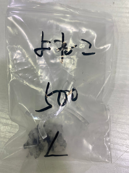 51-よねこ様