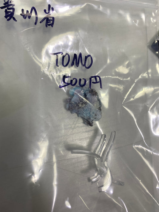 02-TOMO様