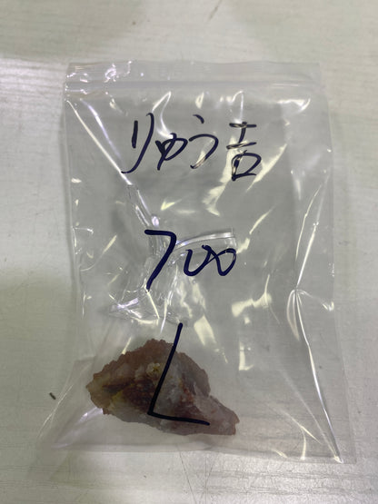 45ーりゅう吉様