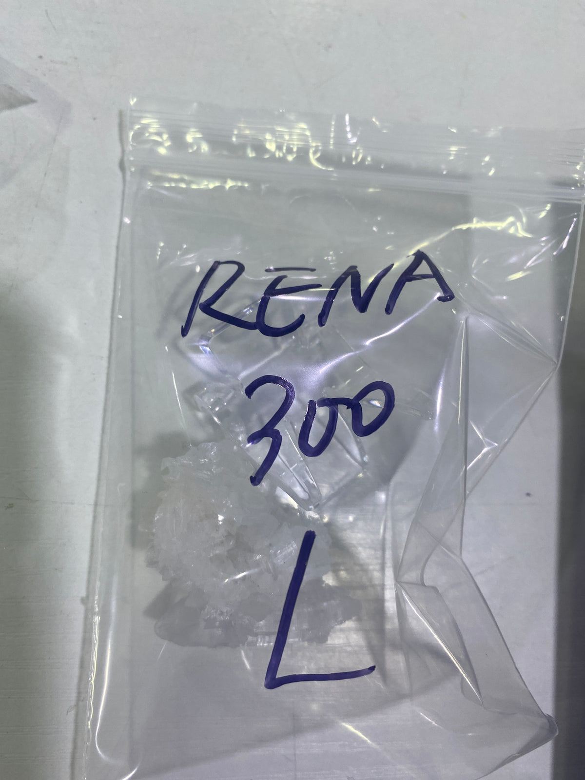 16-RENA様9月16日まで