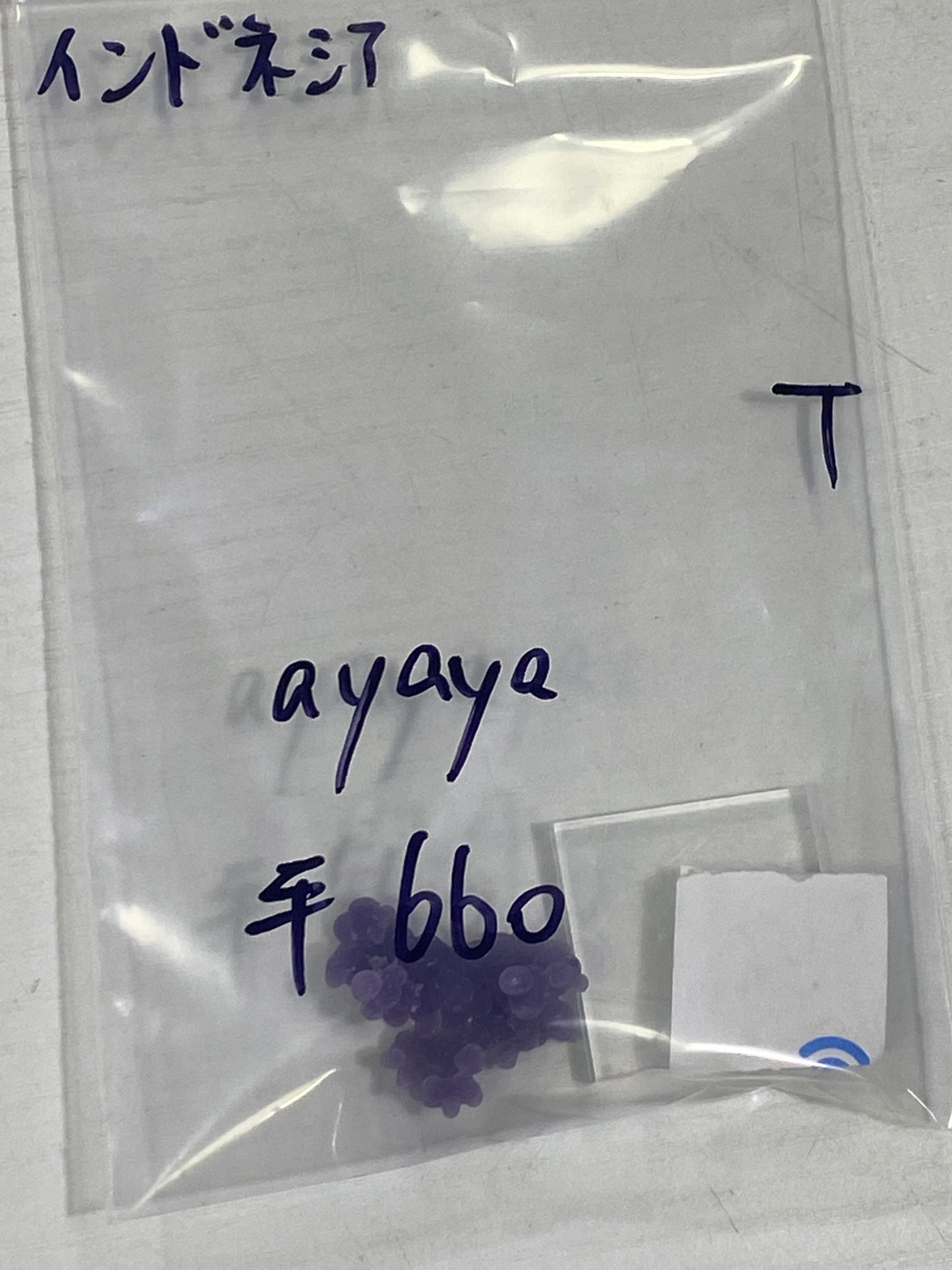 87-ayaya様8月23日まで