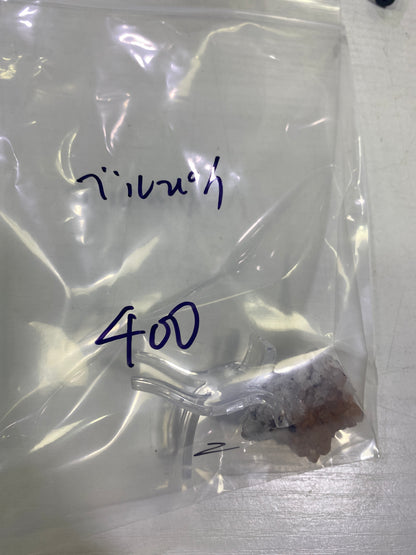 55-ベルぴん様