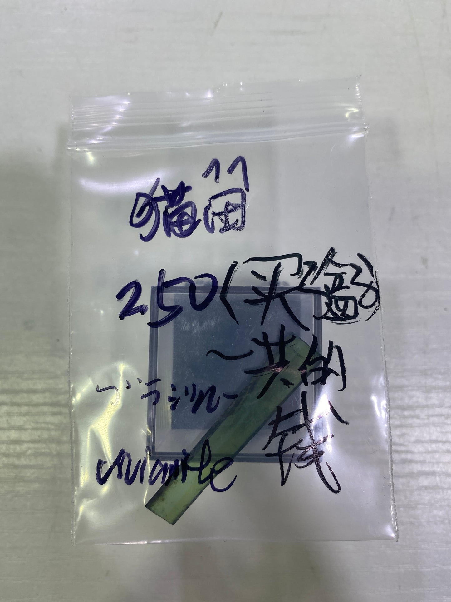 75-猫田様