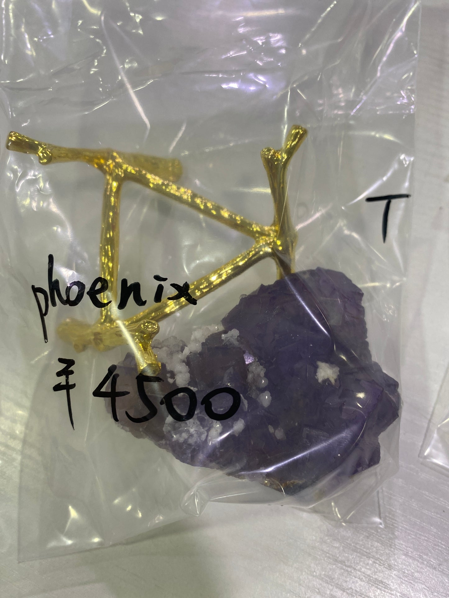 102-phoenix様