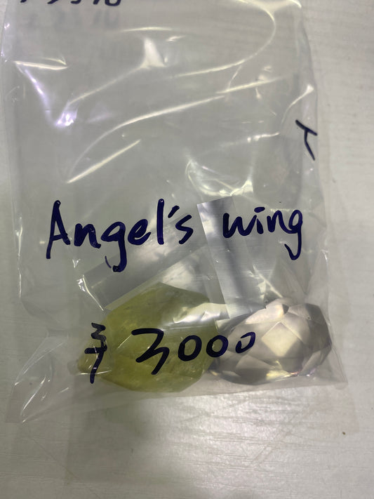 08-Angel’s wing様