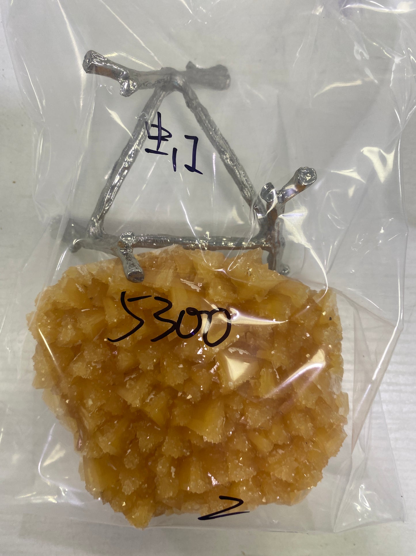 32-虹様8月23日まで