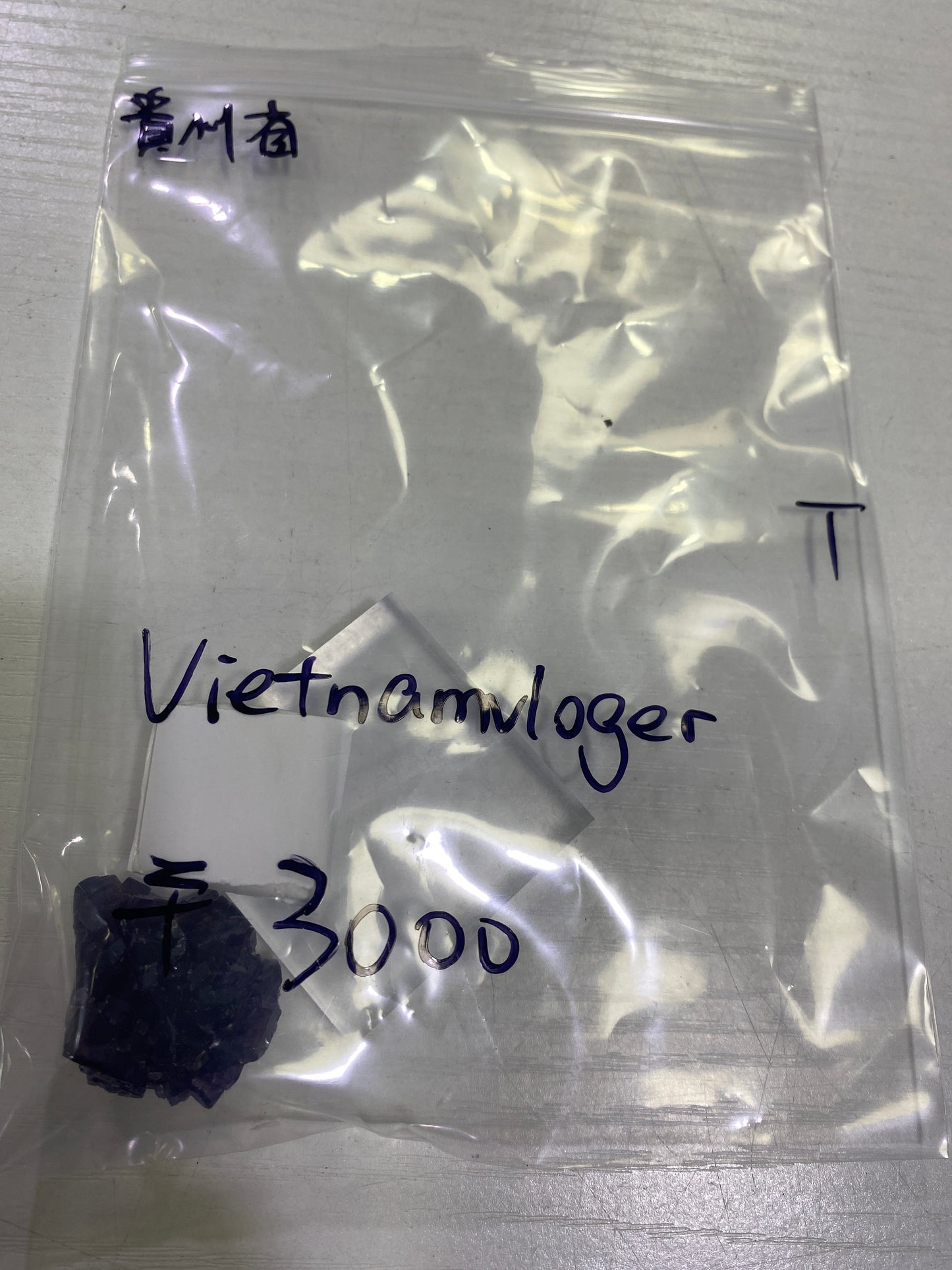 15-vietnamvloger様