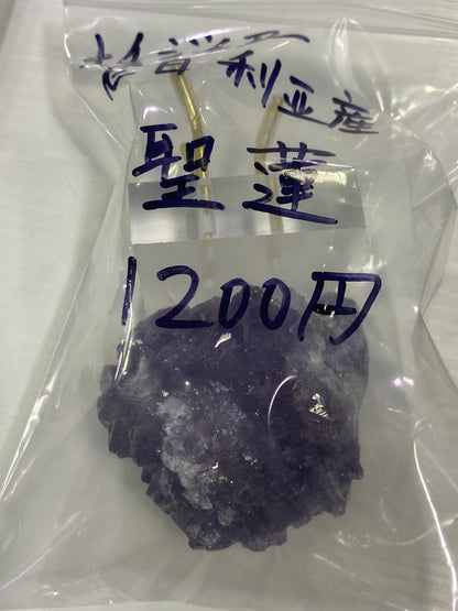55-聖蓮様
