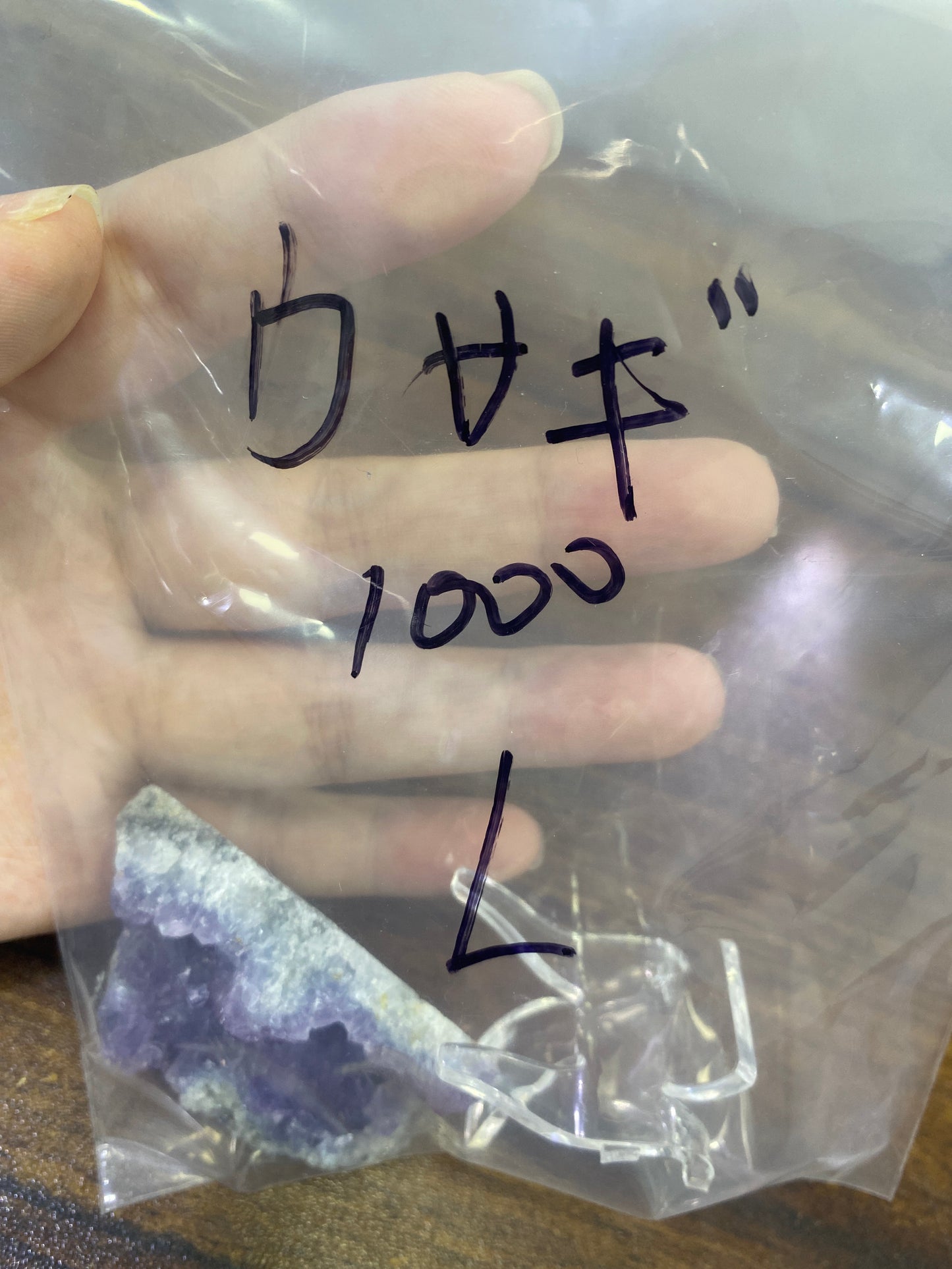 27-ウサギ様
